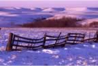 winter fence.jpg (59kb)